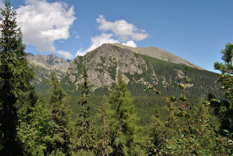 pepajs.cz